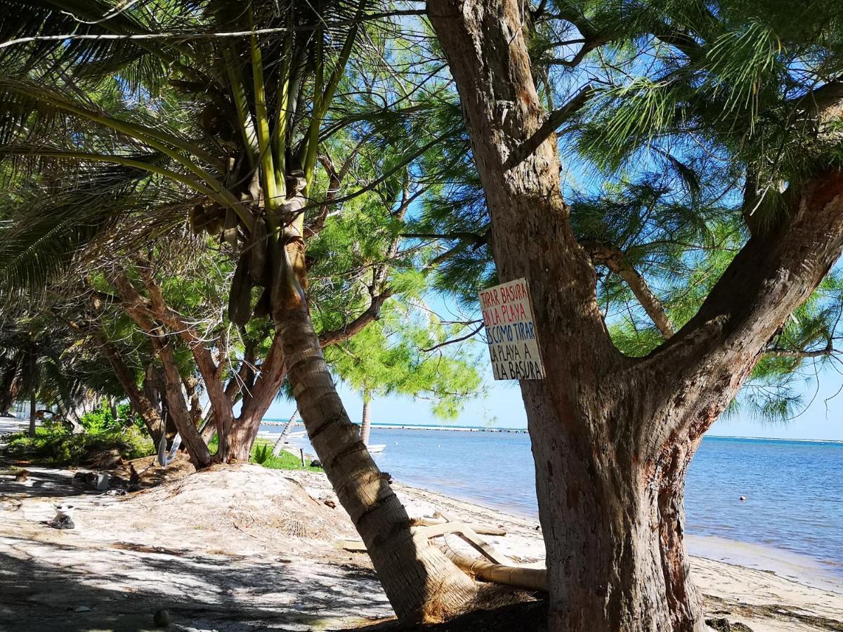 Xcalak Caribe Lodge Luaran gambar